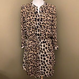 Daniel Rainn leopard dress